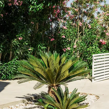 Vakantiehuis Phώs Casa